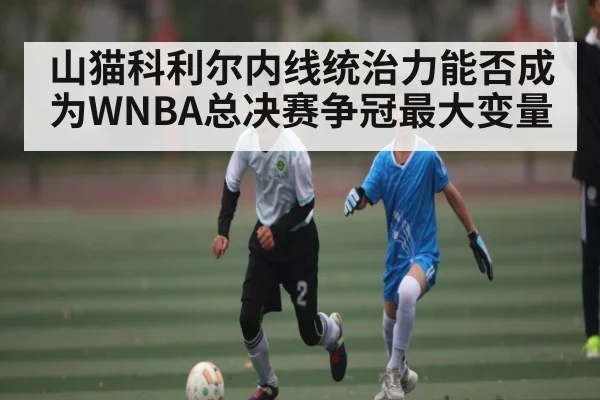 山猫科利尔内线统治力能否成为WNBA总决赛争冠最大变量